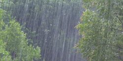 Semana terá pancadas de chuva e queda na temperatura em Roraima, prevê Inmet