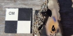 Cientistas identificam dois minerais ‘nunca achados na natureza’ em meteorito de 15 toneladas
